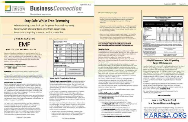 Редактируемый США Southern California EDISON Счёт за коммунальные услуги Счёт, Word and PDF Шаблон, 8 pages 7 8