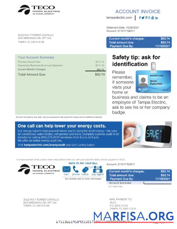 Премиум США TECO Счёт за коммунальные услуги Счёт Word and PDF Шаблон