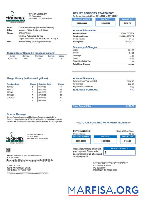 Профессиональный США Texas McKinney Счёт за коммунальные услуги Счёт Шаблон in Word and PDF Формат