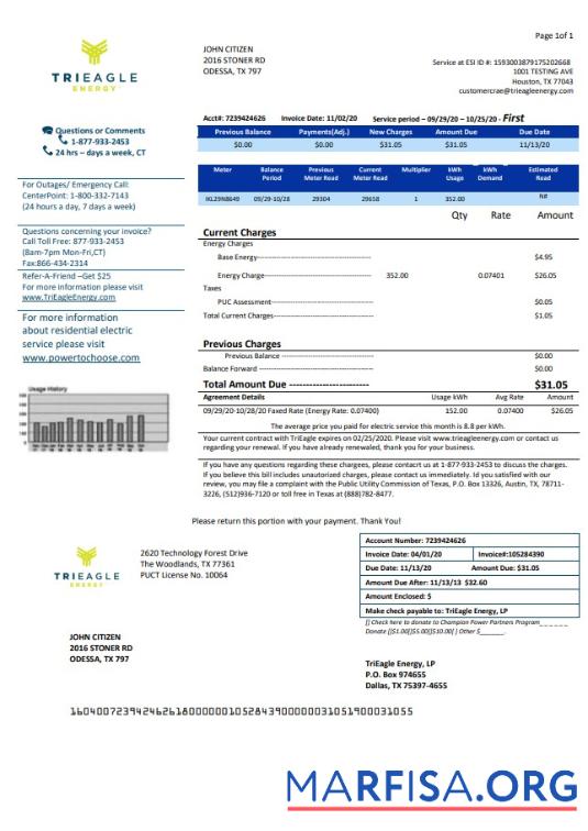 Профессиональный США Texas TriEagle Счёт за коммунальные услуги Счёт Шаблон in Word and PDF (.doc and .PDF) Формат