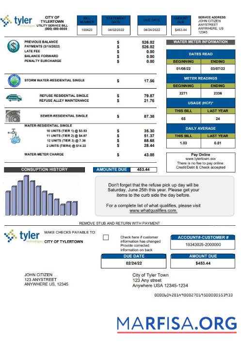 Редактируемый США Tyler Technologies Счёт за коммунальные услуги Счёт Шаблон in Word and PDF Формат