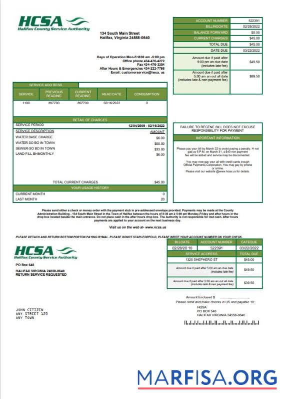 Высокое Качество США Virginia HCSA Счёт за коммунальные услуги Счёт Шаблон in Word and PDF Формат