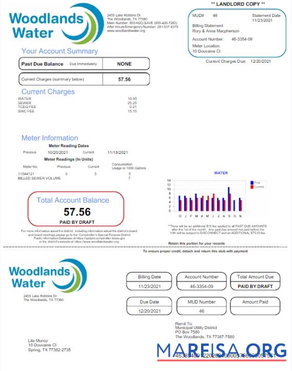 Редактируемый США WOODLANDS Вода Счёт за коммунальные услуги Счёт Word and PDF Шаблон