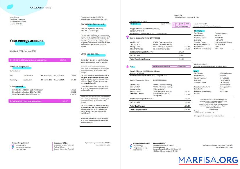 Премиум Великобритания Octopus Energy Счёт за коммунальные услуги Счёт Шаблон in Word and PDF Формат, 3 pages 1 2