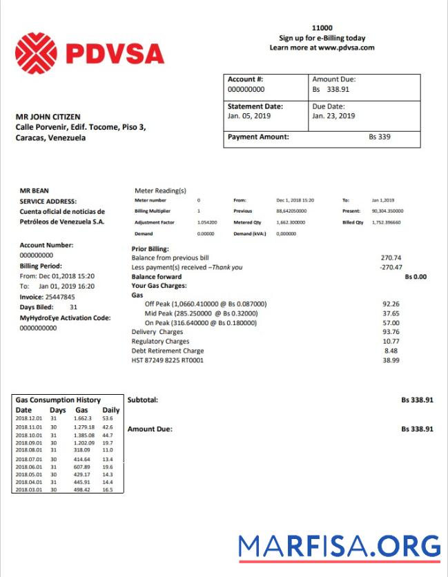 Реалистичный Венесуэла PDVSA Газ Счёт за коммунальные услуги Счёт Шаблон in Word and PDF Формат